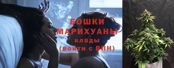 шишки Абинск