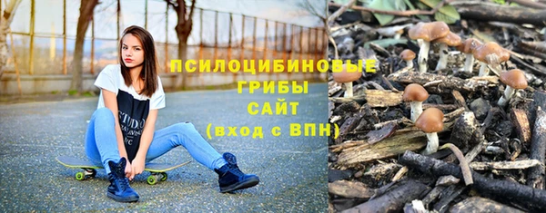 PSILOCYBIN Абаза