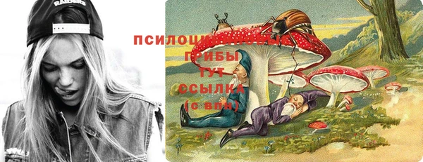 шишки Абинск