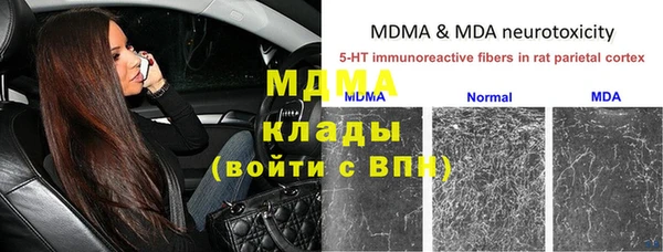 шишки Абинск