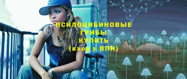 шишки Абинск